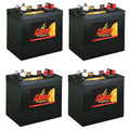 6 Volt Battery 4 Pack Y73360