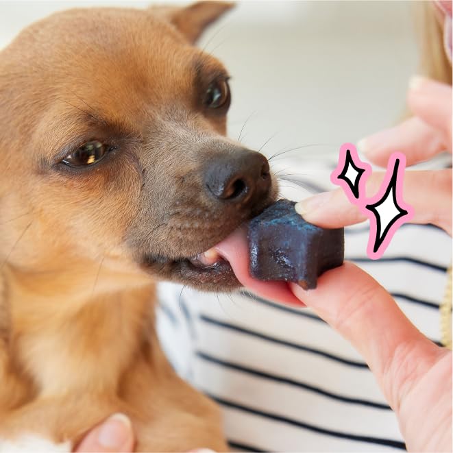 Dog Dental Chews for Fresh Breath & Clean Teeth 28 Chews Z1105