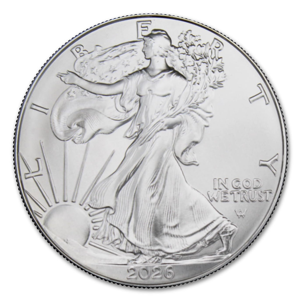 1 oz American Silver Eagle Coin Brilliant Uncirculated Y768