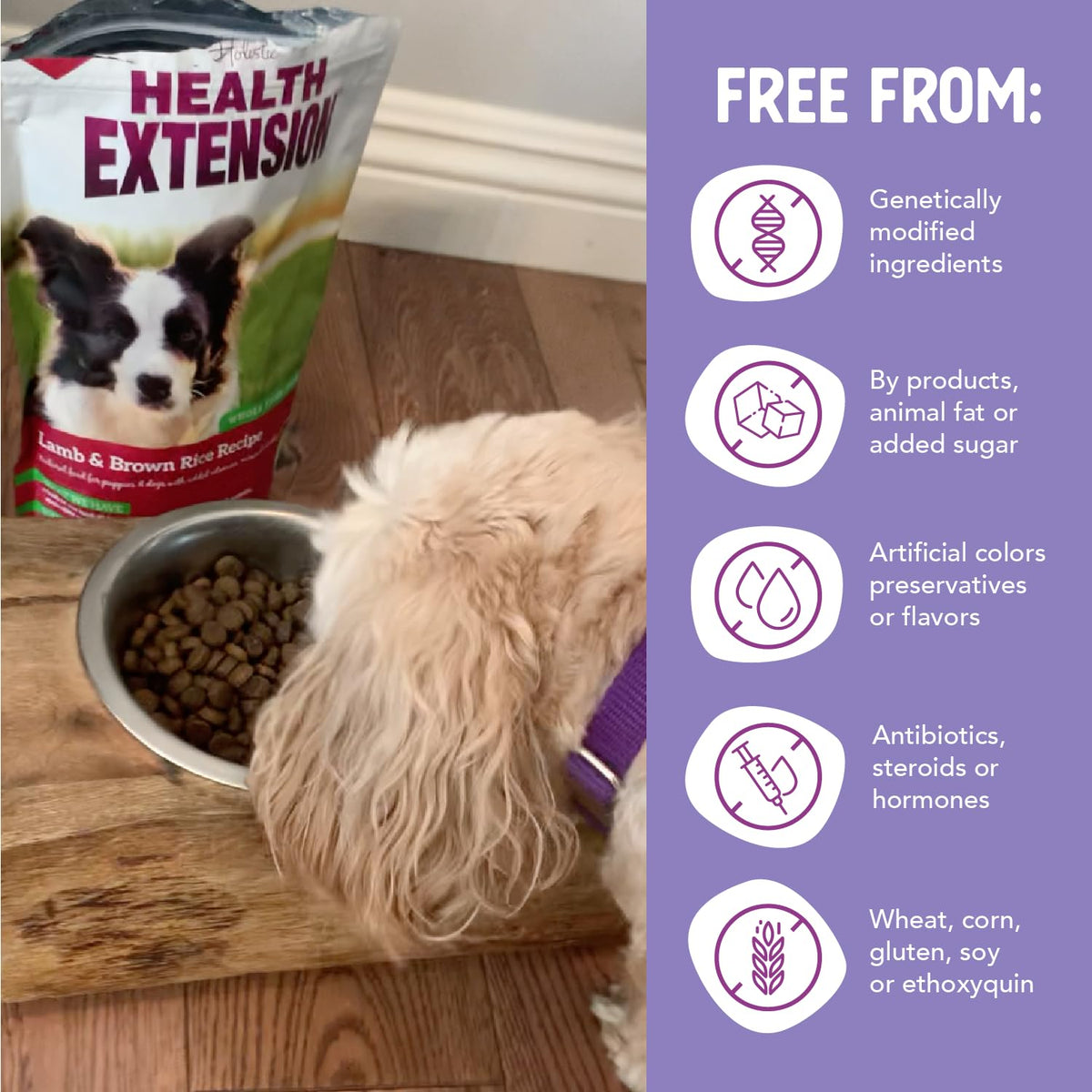 Lamb & Brown Rice Dry Dog Food with Probiotics 1 lb B546