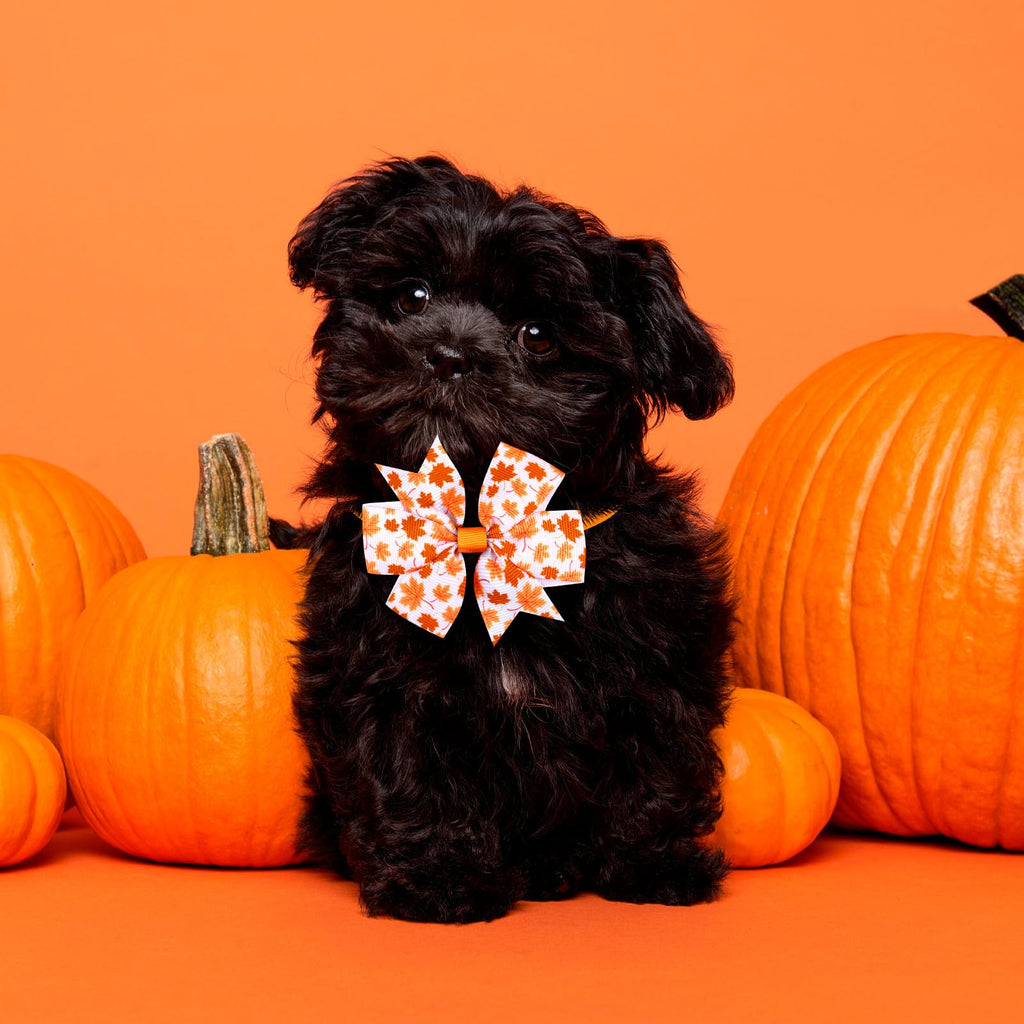 80 Pcs Fall Bow Ties for Dogs&Cats B19030