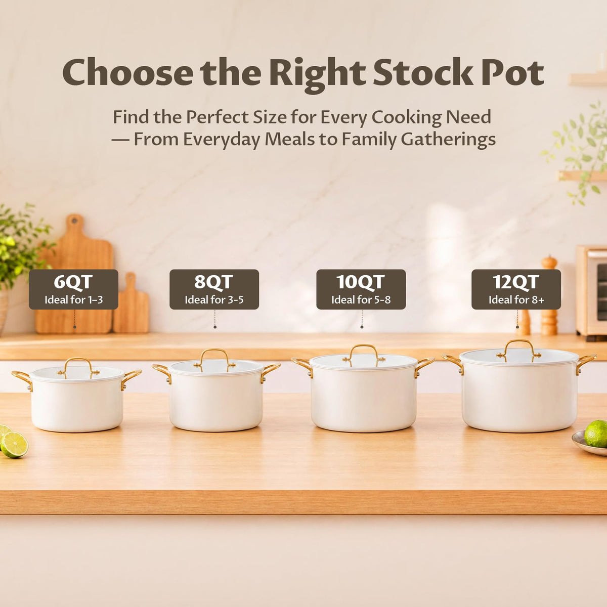 12 Quart Stainless Steel Stock Pot O249398