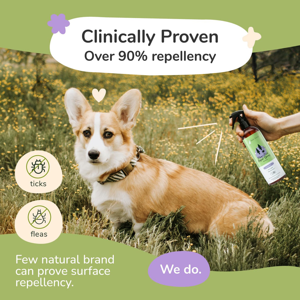 Lavender Mint Dog Coat Spray 12 fl oz N240308