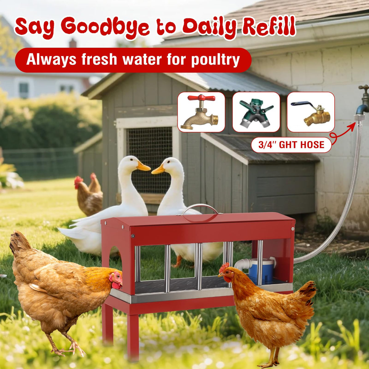 Stainless Steel Automatic Chicken Waterer B190624