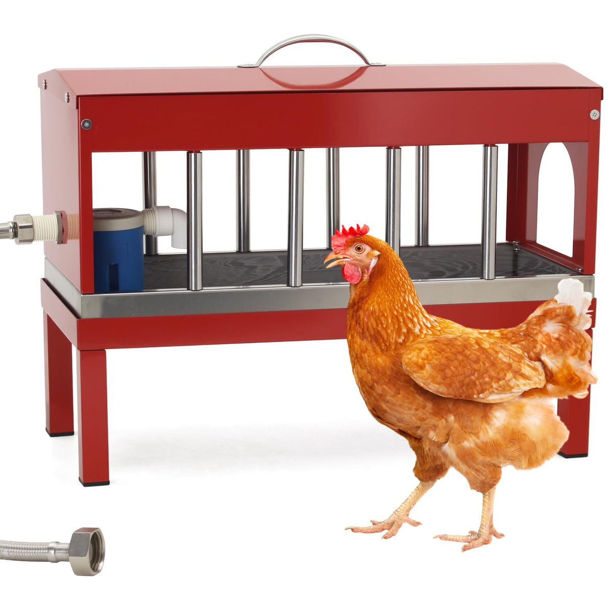 Stainless Steel Automatic Chicken Waterer B190624