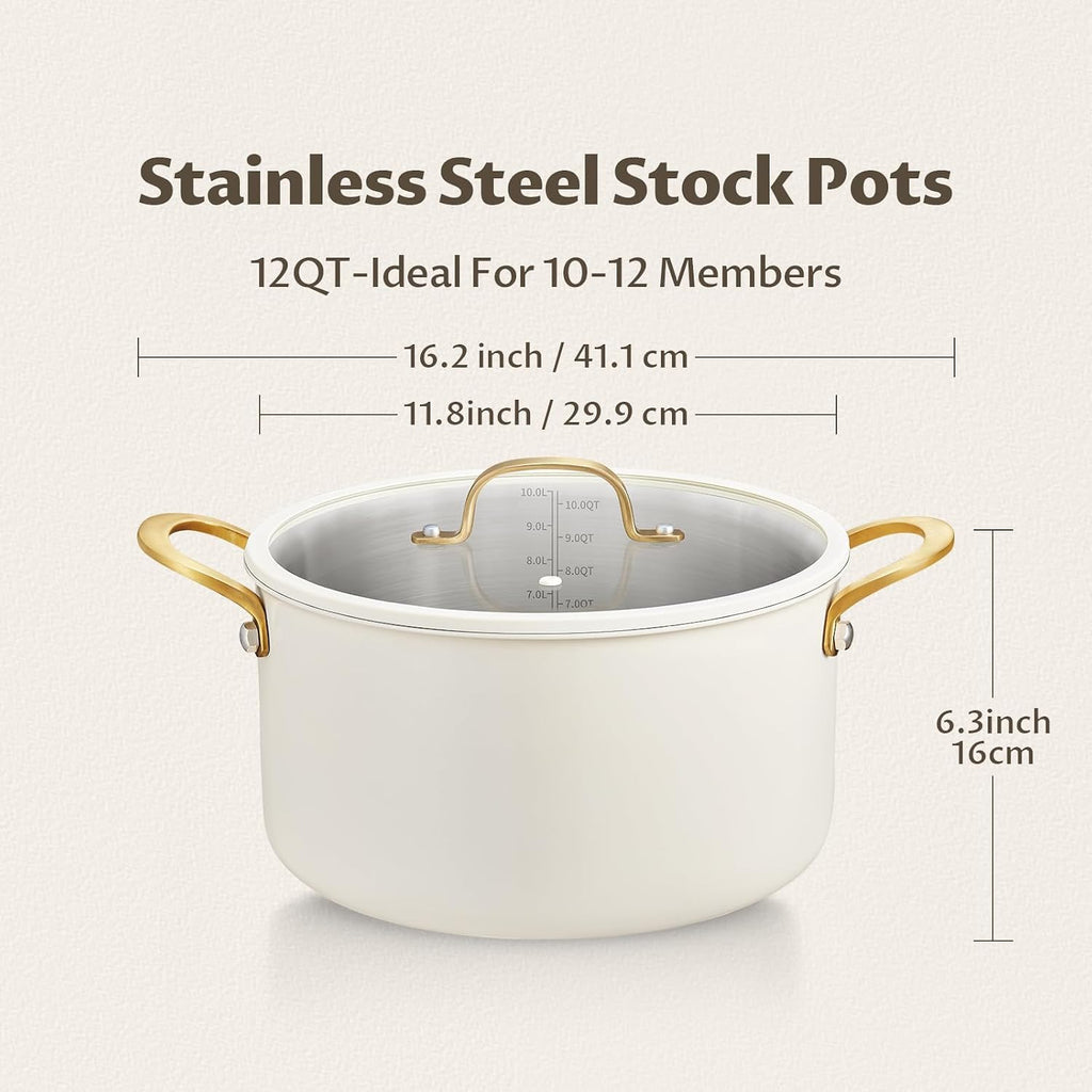 12 Quart Stainless Steel Stock Pot O249398