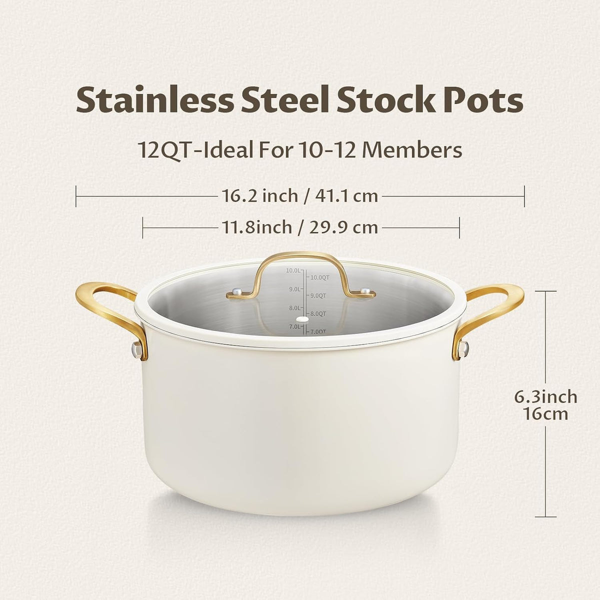 12 Quart Stainless Steel Stock Pot O249398