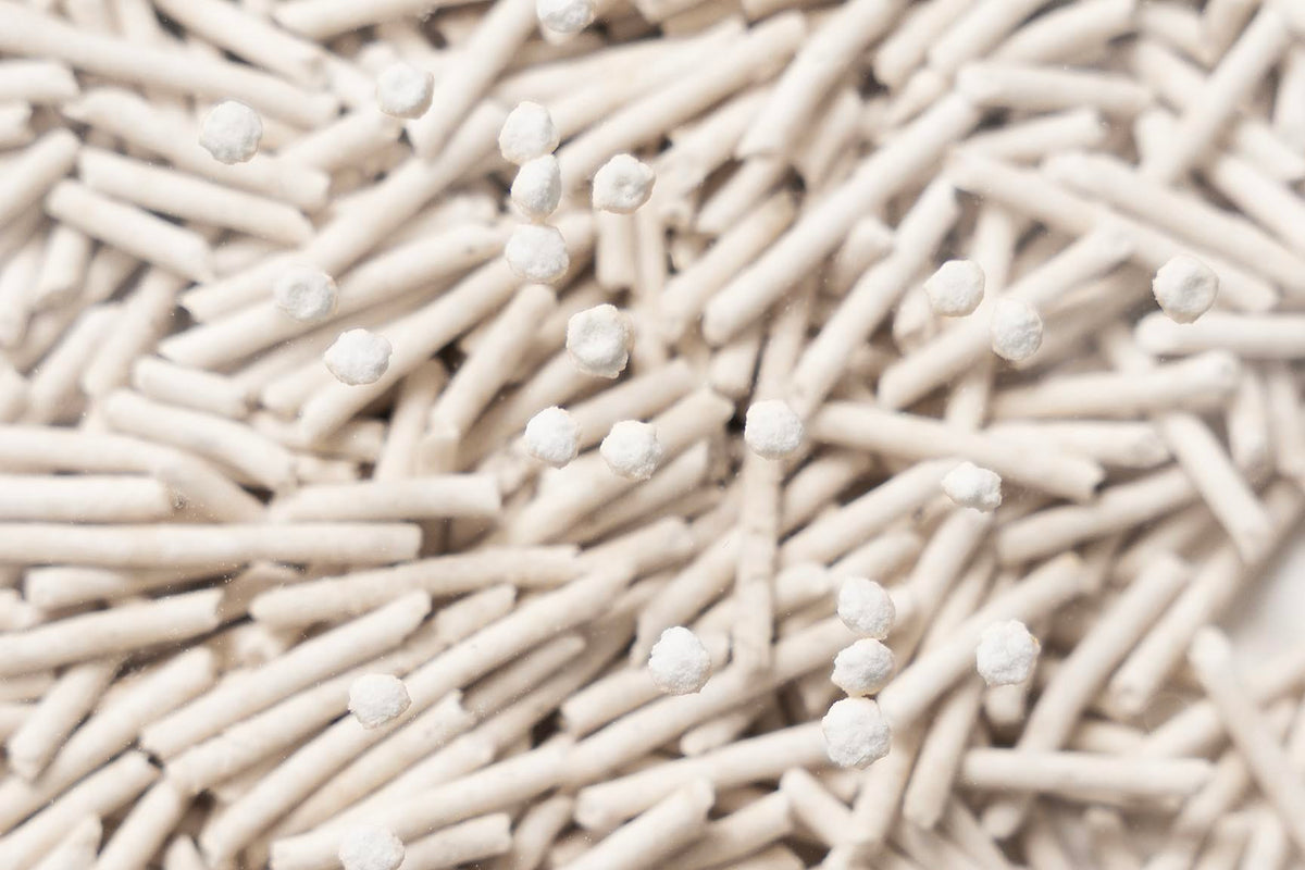 Tofu Cat Litter Clumping Flushable Ultra Absorbent 5.3lb×2bags L887