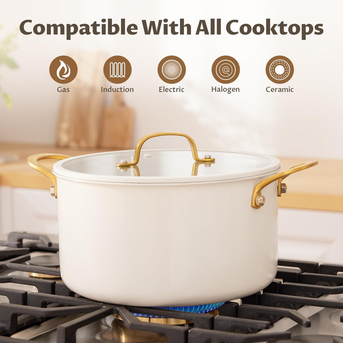 12 Quart Stainless Steel Stock Pot O249398