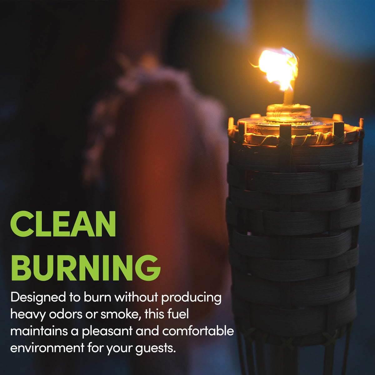 Citronella Torch Fuel 1 Gallon Pack of 2 V147