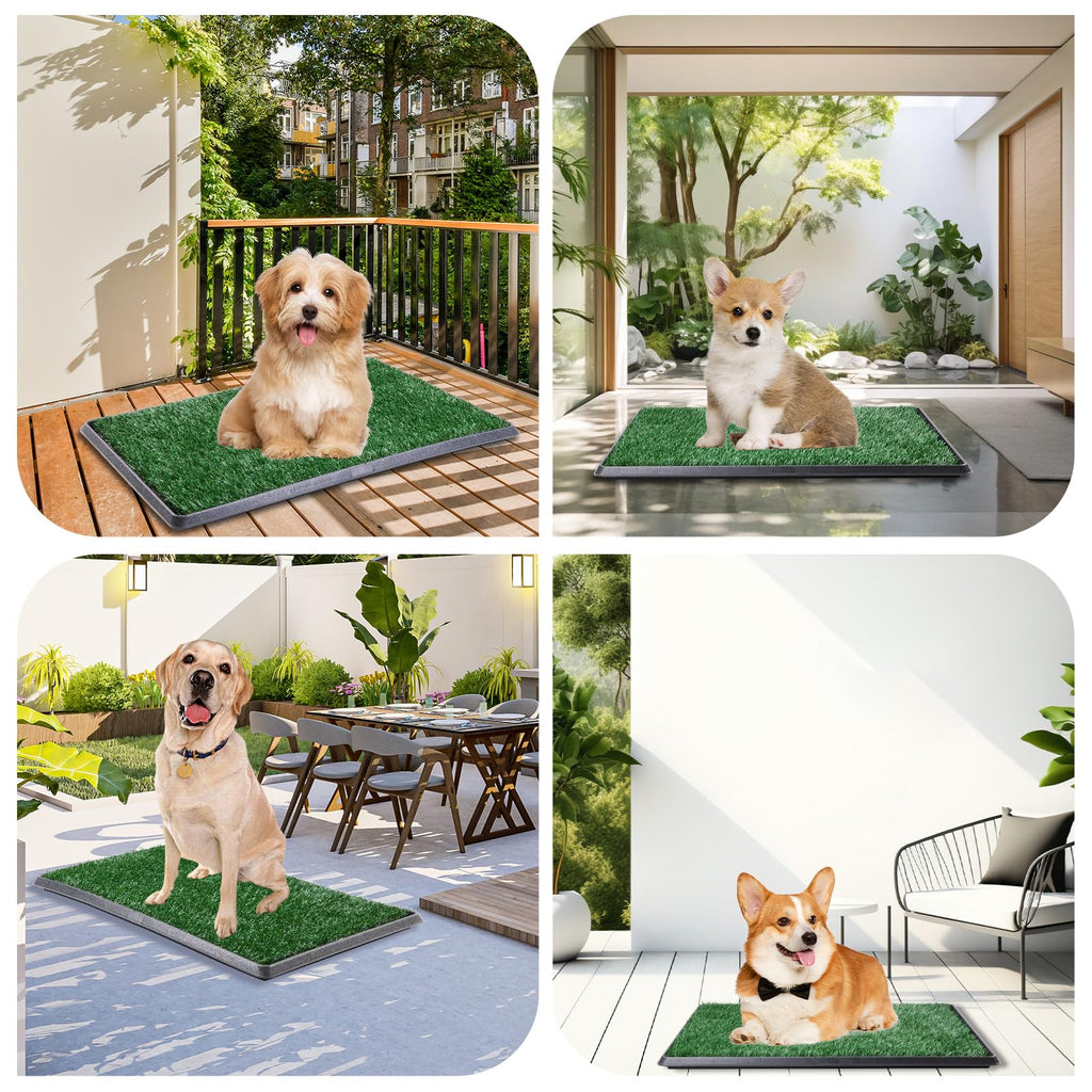 Dog Grass Pad with Tray 16x20in K806