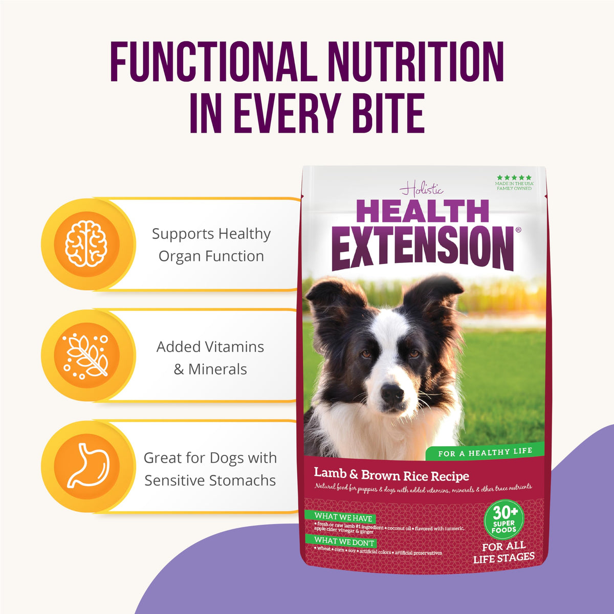 Lamb & Brown Rice Dry Dog Food with Probiotics 1 lb B546