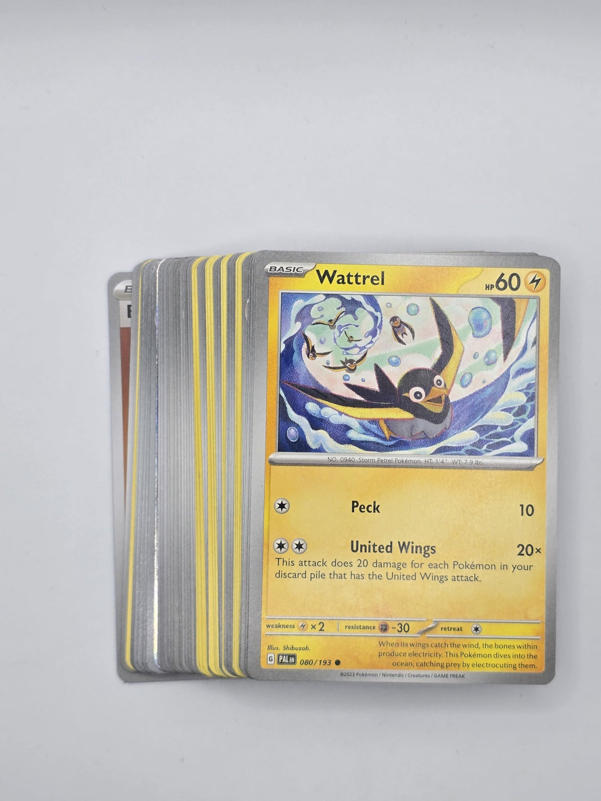 Pokemon TCG Random Cards 50 Cards Y73156