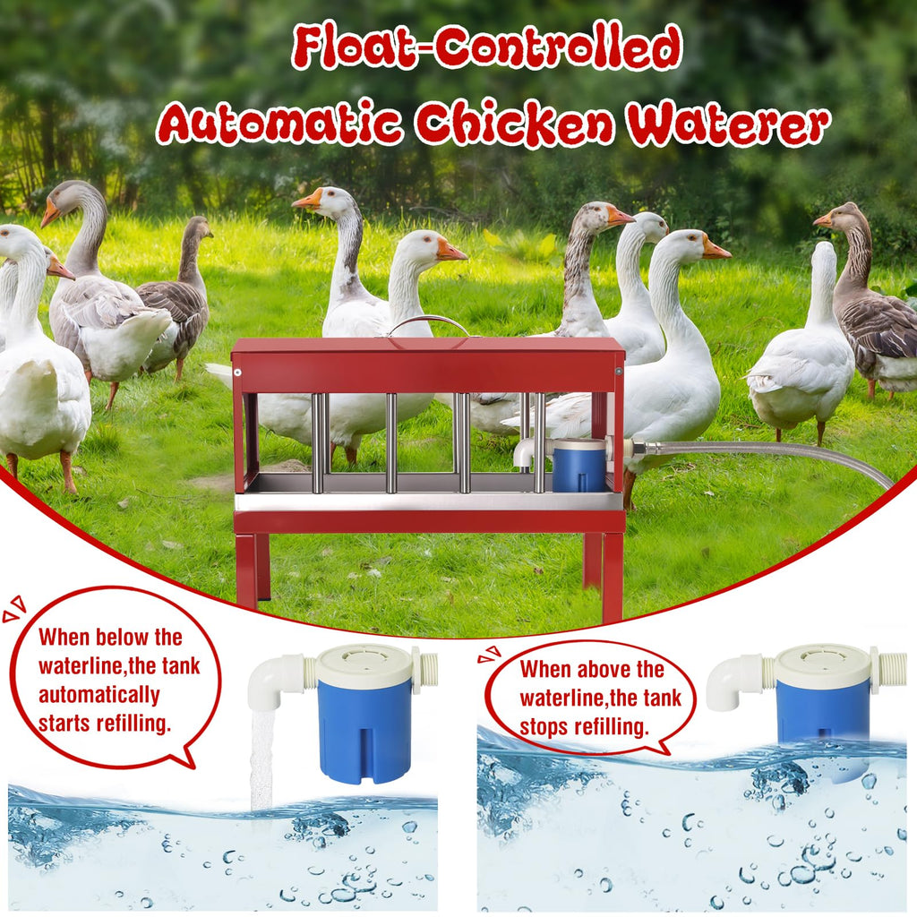 Stainless Steel Automatic Chicken Waterer B190624