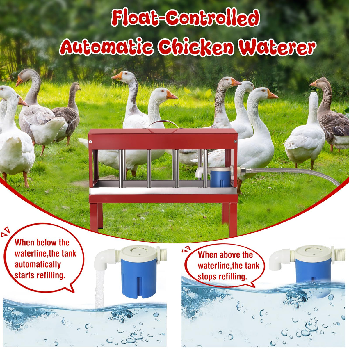 Stainless Steel Automatic Chicken Waterer B190624
