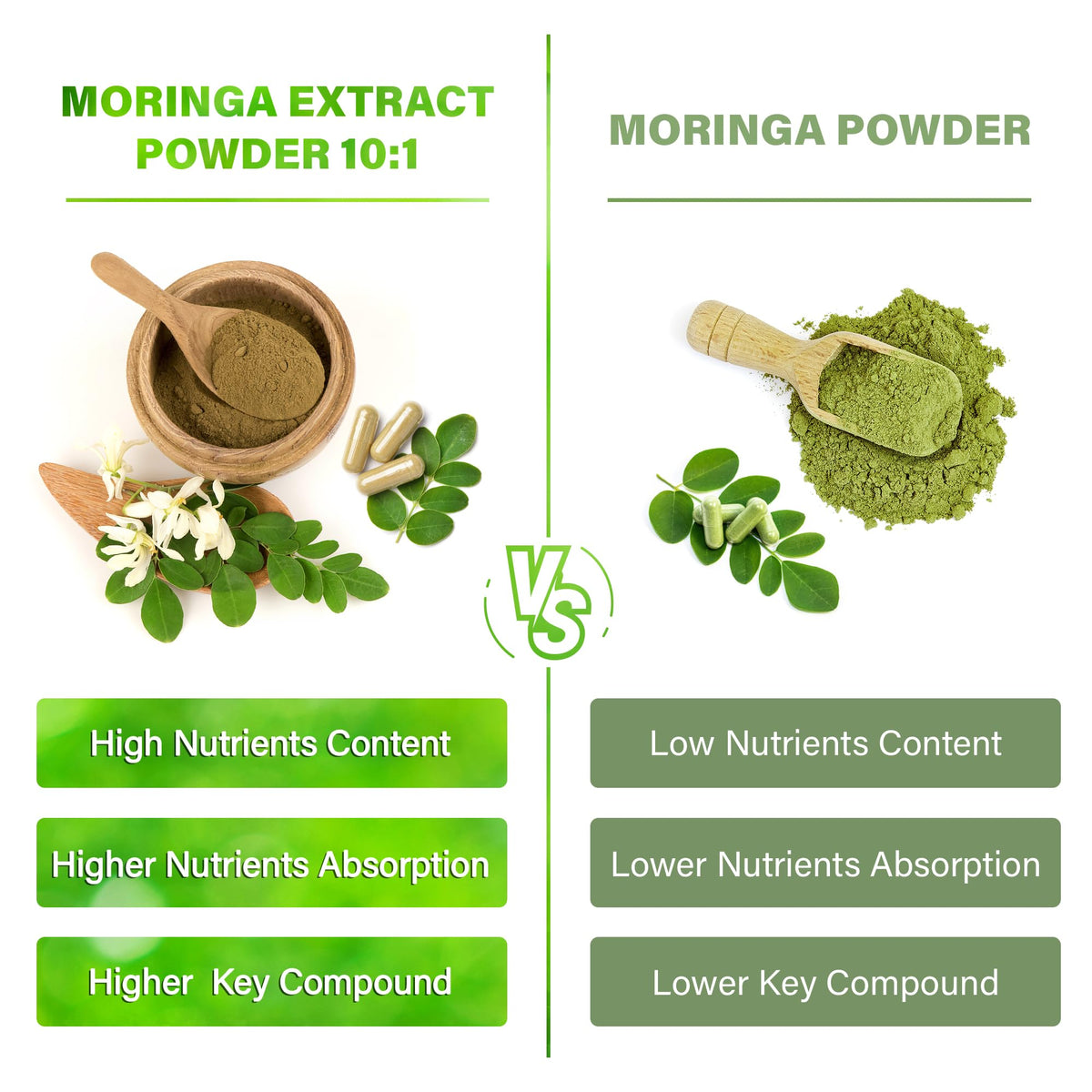 Moringa Oleifera Leaf Extract Capsules 150 Count Y715109