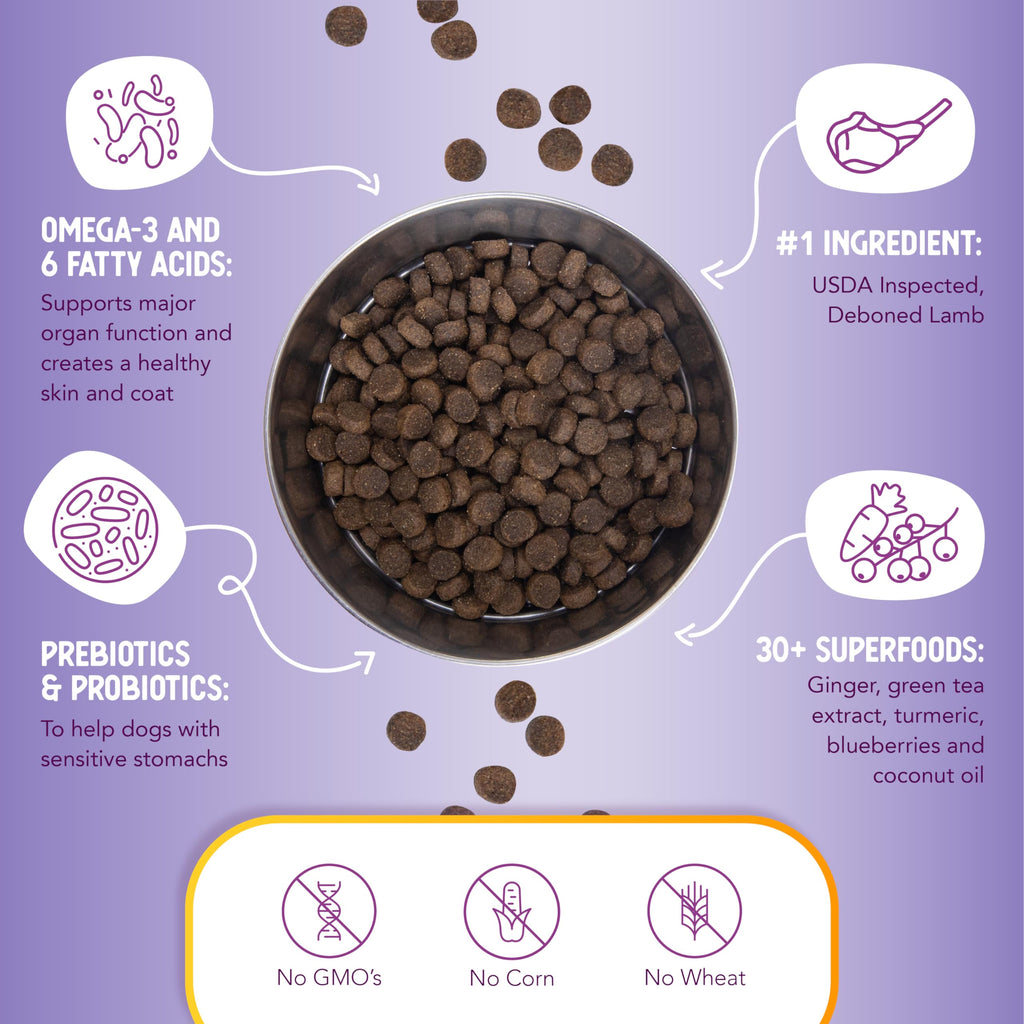 Lamb & Brown Rice Dry Dog Food with Probiotics 1 lb B546