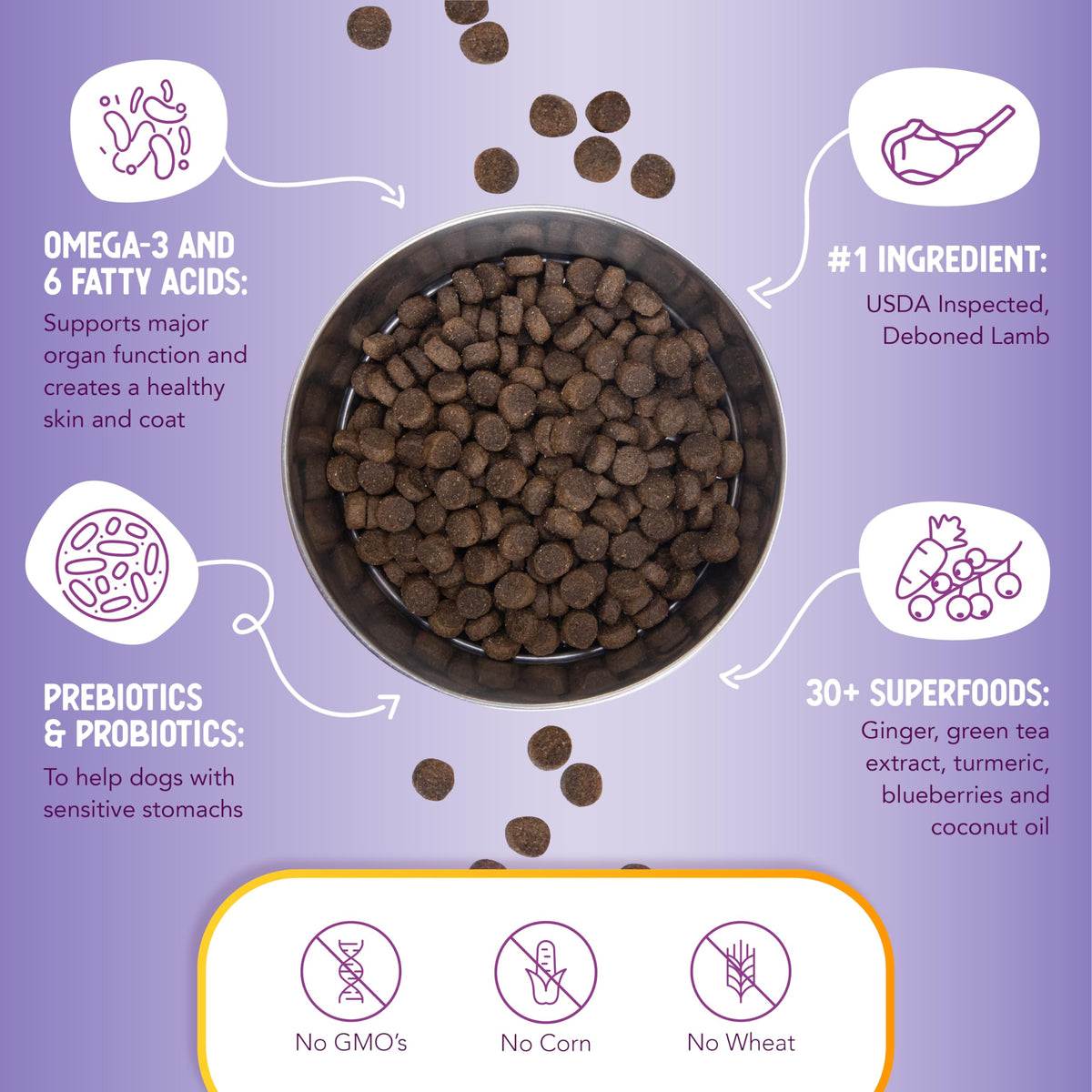 Lamb & Brown Rice Dry Dog Food with Probiotics 1 lb B546