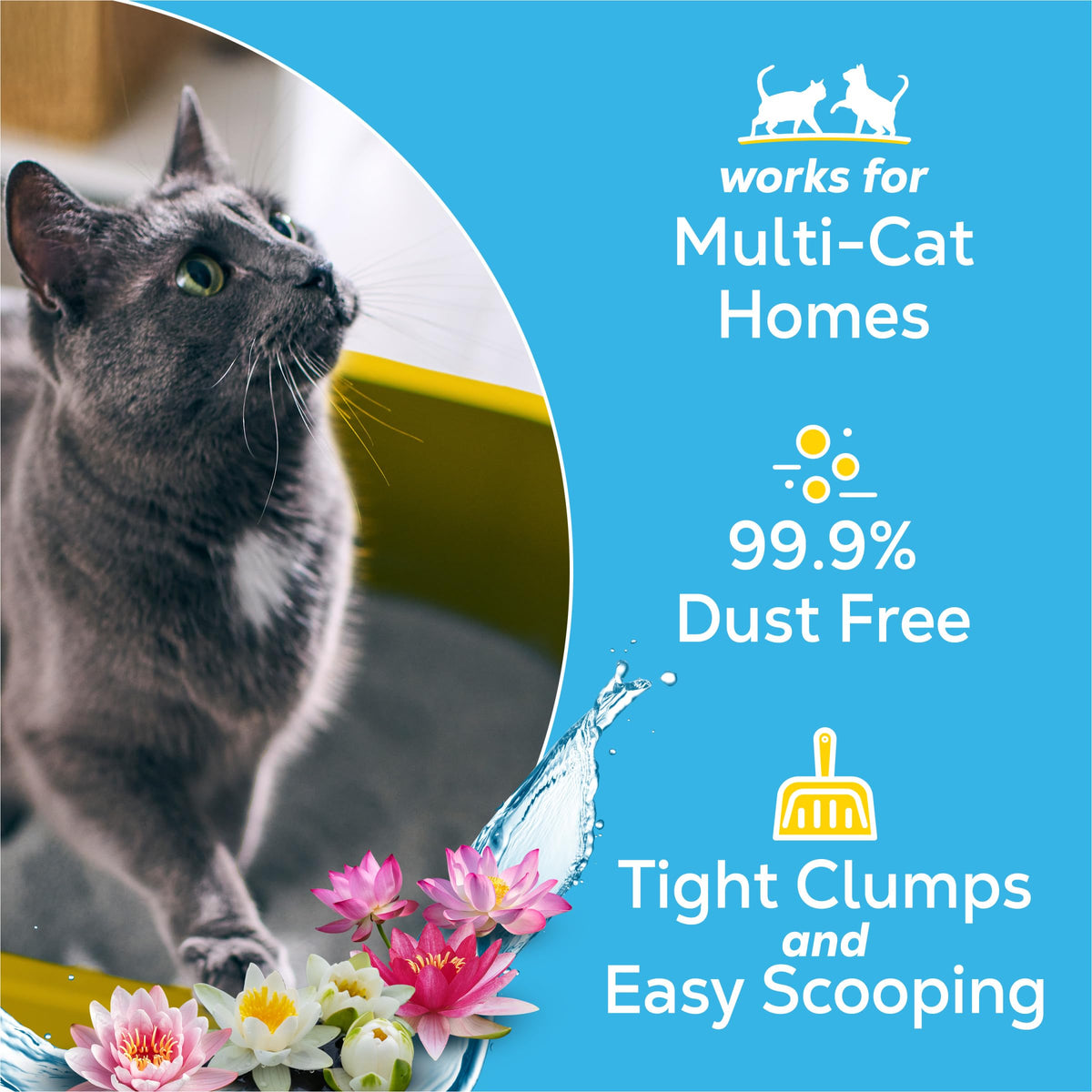 Clumping Cat Litter 38 lb Z1053